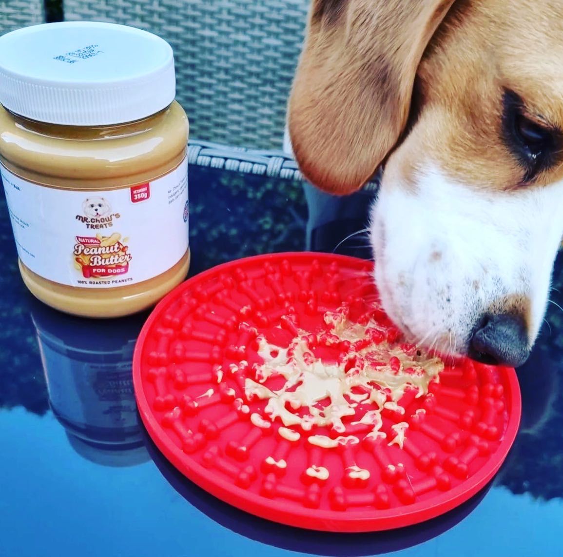 Mr. Chow's Treats - Natural Peanut Butter for Dogs 100% Roasted